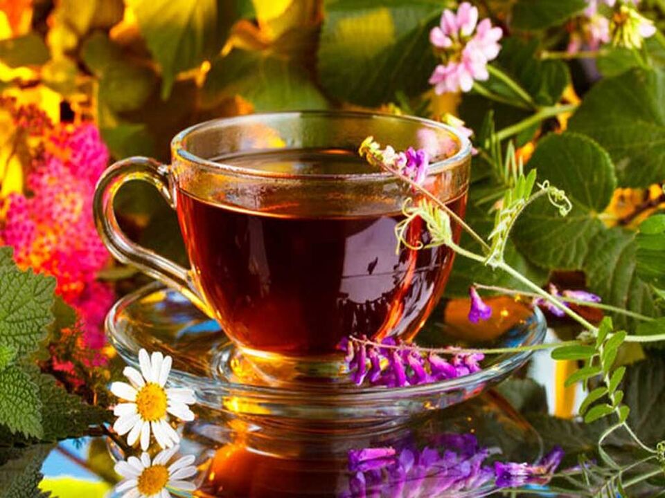 Infusións e decoccións